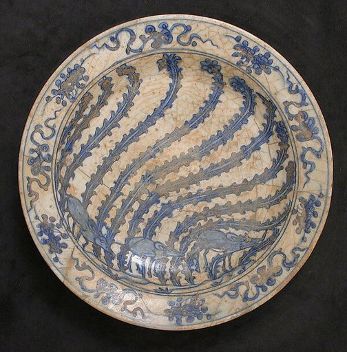 Dish