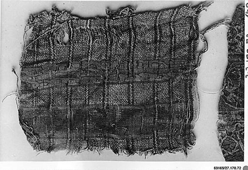 Textile Fragment