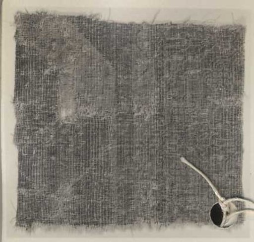 Carpet Fragment