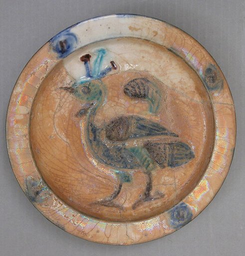 Dish
