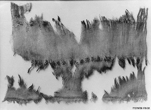 Textile Fragment