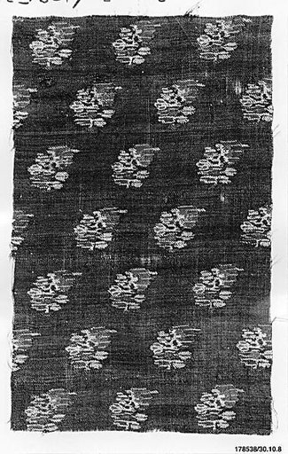 Textile Fragment