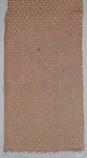 Textile Fragment
