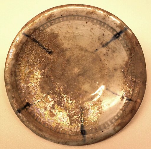 Dish
