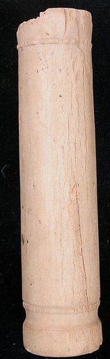 Bone Fragment