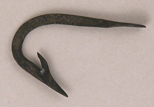 Fish Hook