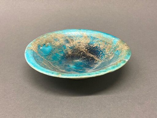 Dish