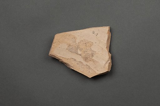 Ceramic Fragment