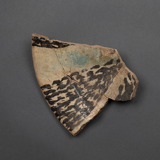 Plate Fragment