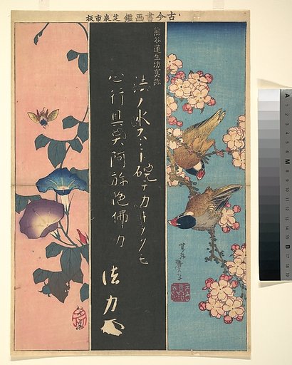 Bird-and-Flower Paintings