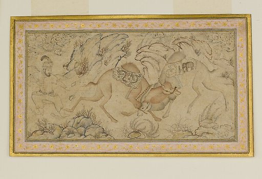 Two Camels Fighting