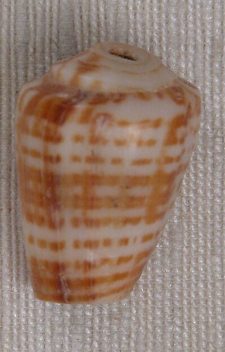 Bead