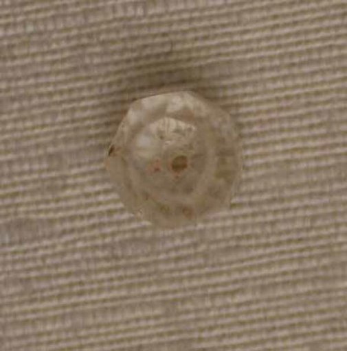 Bead