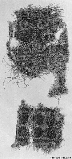 Carpet Fragment