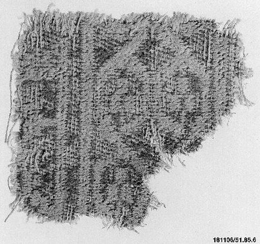 Carpet Fragment