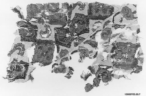 Textile Fragment