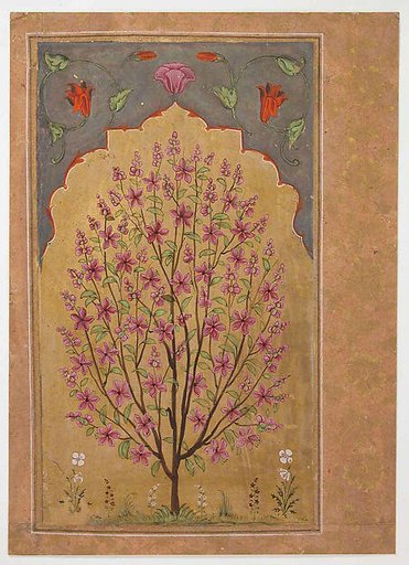 Flowering Tree