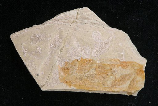 Ceramic Fragment