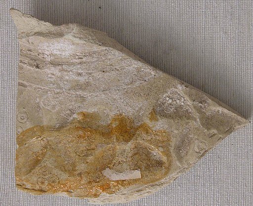 Ceramic Fragment