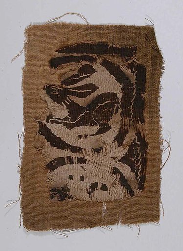 Textile Fragment