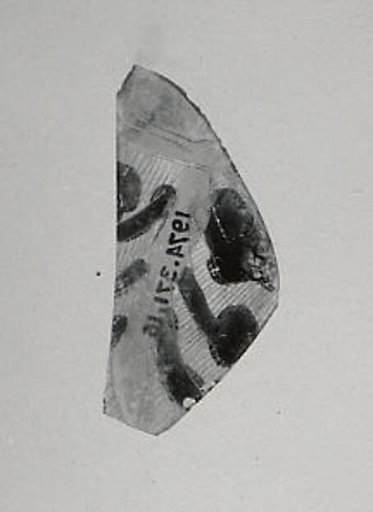 Glass Fragment