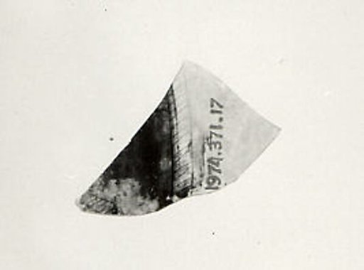 Glass Fragment
