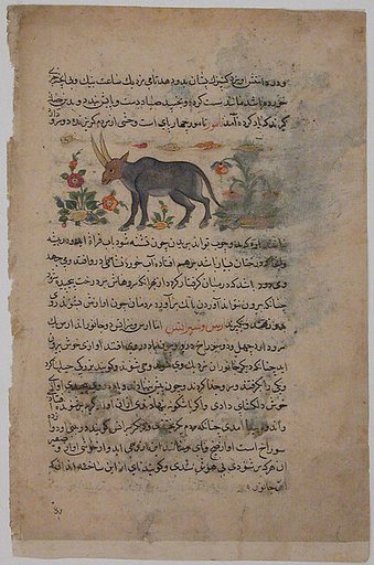 "Steinbok", Folio from a Dispersed Nuzhatnama-i ‘A’a’i of Shahmardan ibn Abi’l Khayr