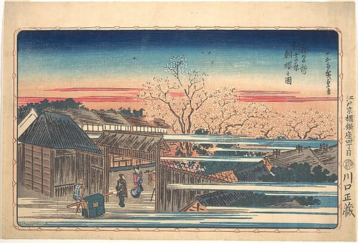 Morning Cherry Blossoms at Shin-Yoshiwara