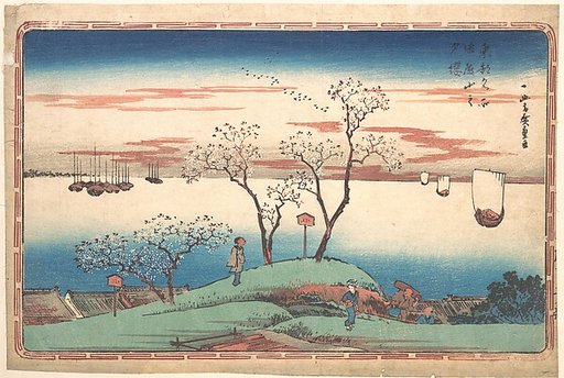 Evening Cherry Blossoms at Gotenyama