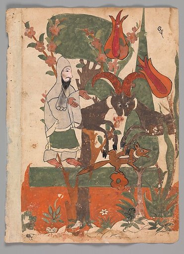 "The Fox and the Battling Rams Observed by the Ascetic", Folio from a Kalila wa Dimna