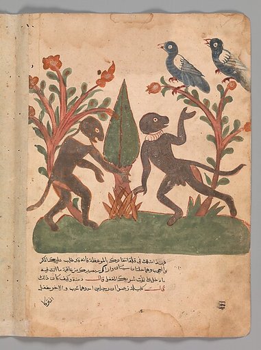 "The Birds and the Monkeys with the Glow Worm", Folio from a Kalila wa Dimna