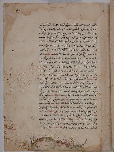 Page of Calligraphy from a Kalila wa Dimna