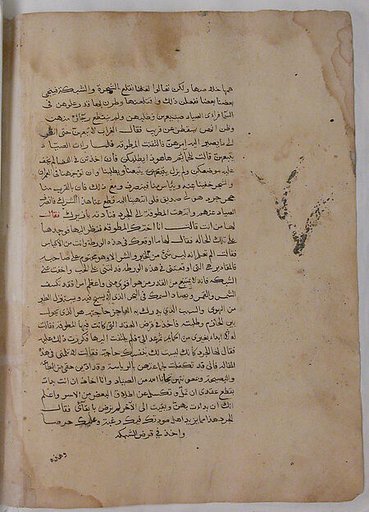 Page of Calligraphy from a Kalila wa Dimna