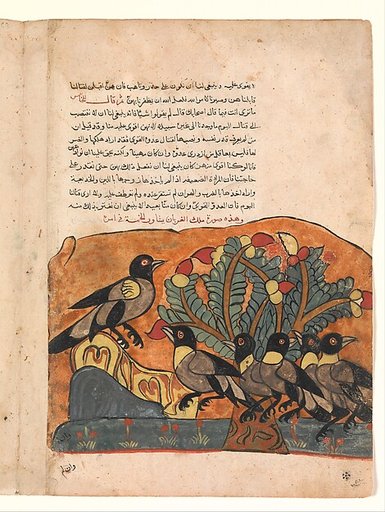 "The Crow King Consults his Ministers", Folio from a Kalila wa Dimna