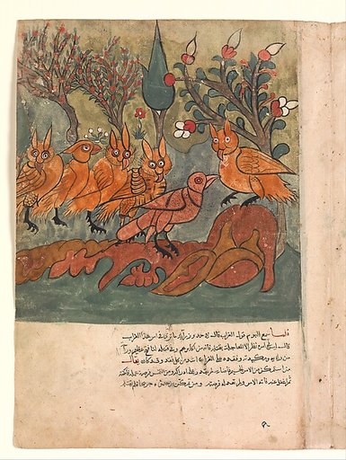 "The Crow Spy Talks to the King of the Owls and His Ministers", Folio from a Kalila wa Dimna Manuscript