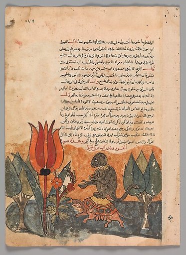 "The Tortoise Ferries the Monkey", Folio from a Kalila wa Dimna