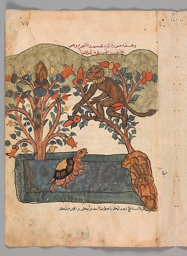 "The Monkey Escapes to the Safety of the Fig Tree", Folio from a Kalila wa Dimna