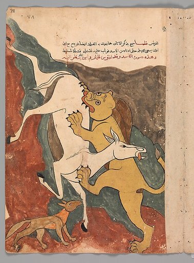 "The Monkey Tells the Story of the Fox Luring the Ass to its Death by the Lion", Folio from a Kalila wa Dimna