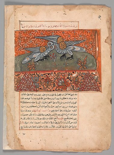 "The Male Dove Pecking the Female Dove", Folio from a Kalila wa Dimna