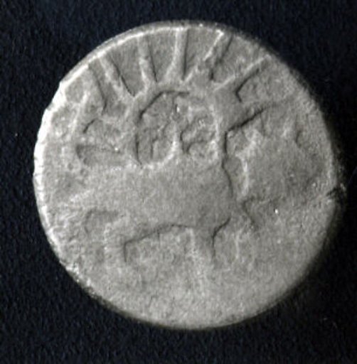 Coin