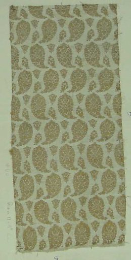 Textile Fragment