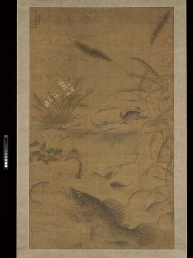 Flowers, fish, and crabs