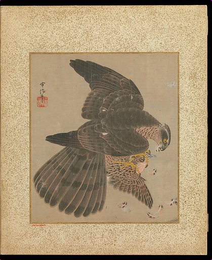 Album of Hawks and Calligraphy