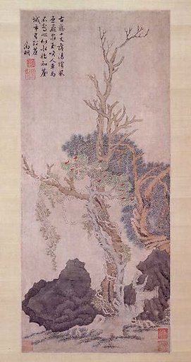 Old Wisteria among Trees and Rocks