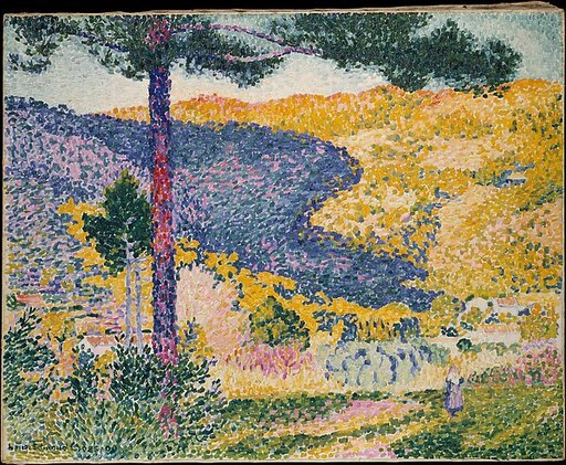 Valley with Fir (Shade on the Mountain)