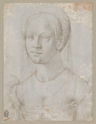 Portrait of a Young Woman