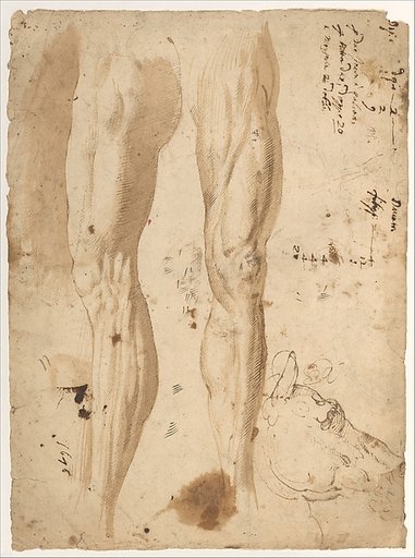 Studies of the Leg of a Man and a Horse's Head (recto); sketches of the back of a man's left shoulder and a chained (?) figure.