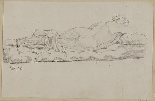 Hermaphrodite