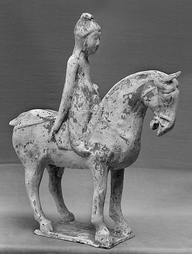 Horse and rider