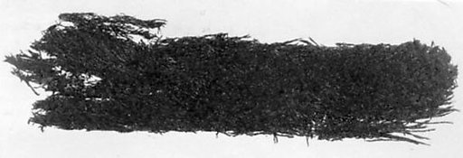 Textile Fragment